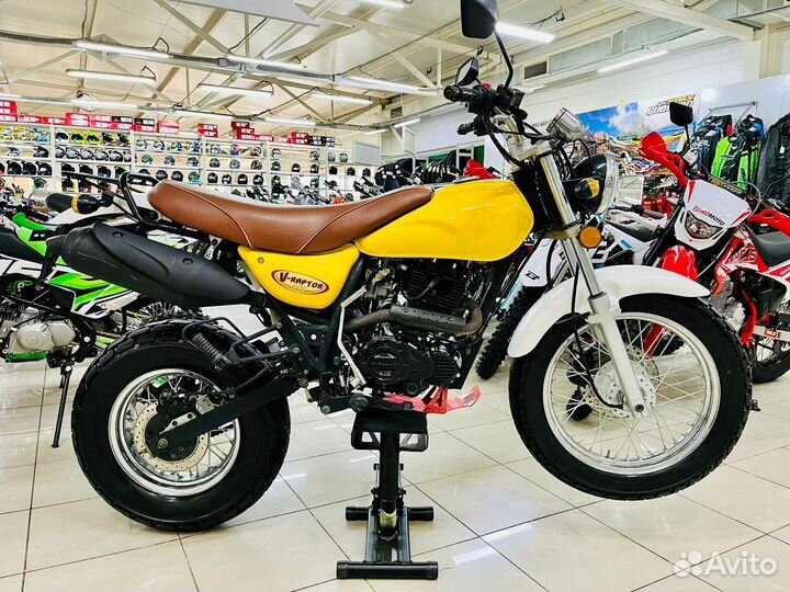 Мотоцикл Motoland V Raptor 250 (541 км)