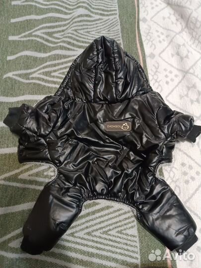 Одежда для маленьких собак xs