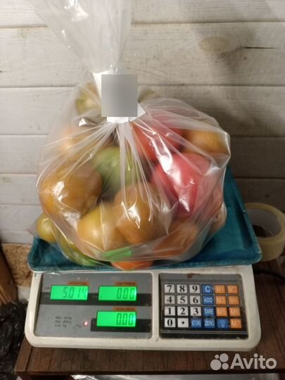 Помидоры свои на навозе