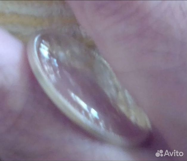 Уругвай. Памятная монета 1961. Серебро. aUnc