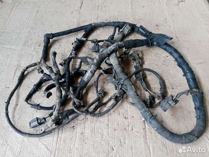 Проводка двигателя ford transit 2.4