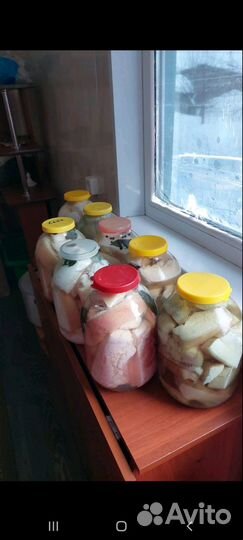 Сало соленое