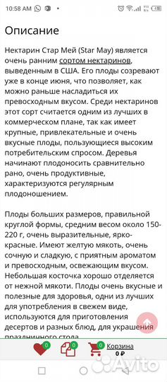 Нектарин(персик), саженцы