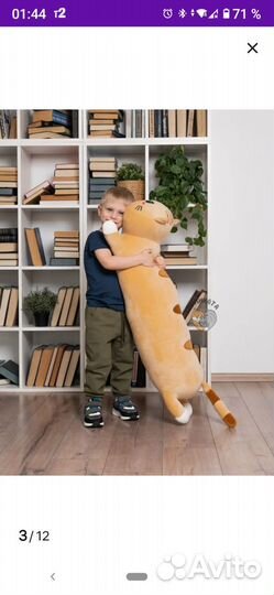 Кот батон