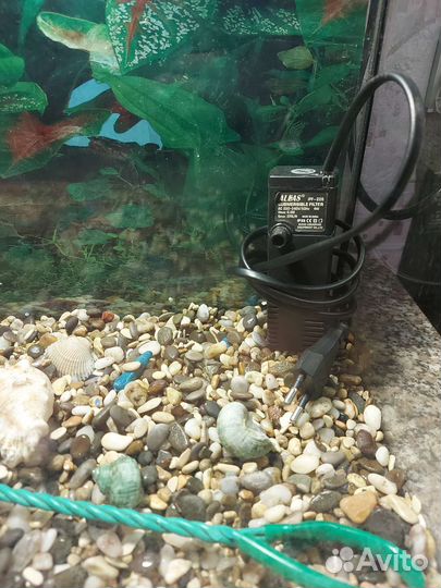 Аквариум 30л