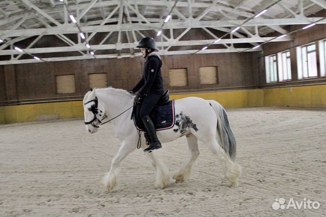 Занятия верховой ездой на тинкере. Выездка, конкур