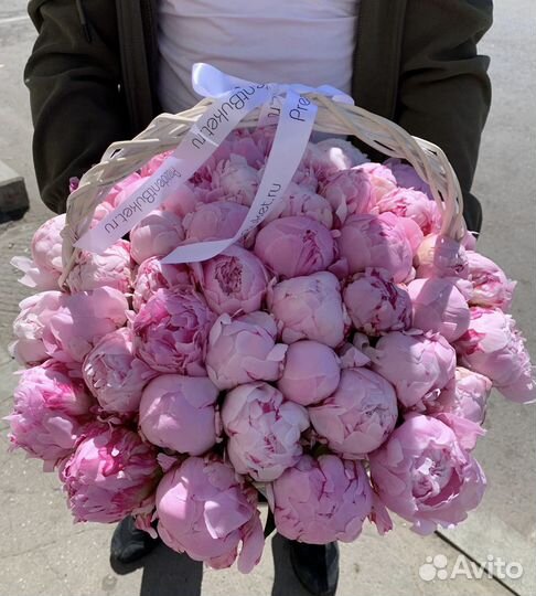 Пионы оптом