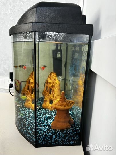 Аквариум