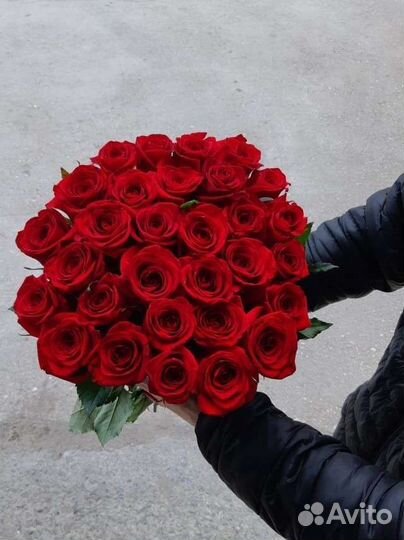 Розы голландия. Букет 25 роз