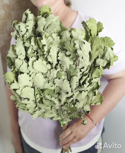 Веник дубовый