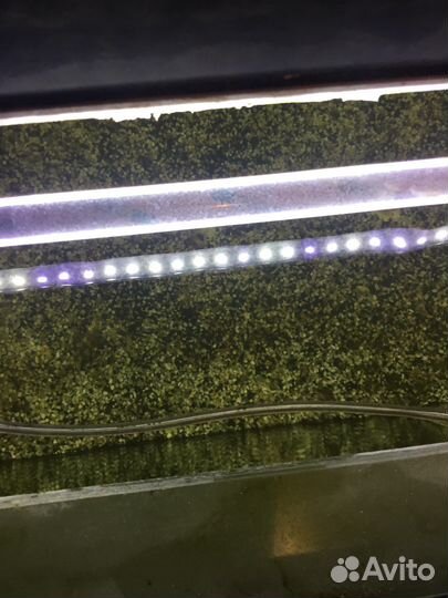 Аквариум Bio design с тумбой