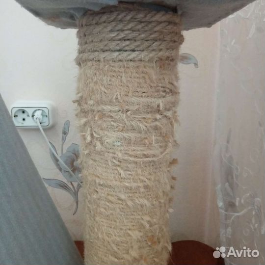 Когтеточка