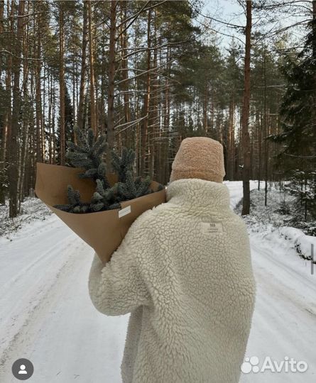 Шуба тедди