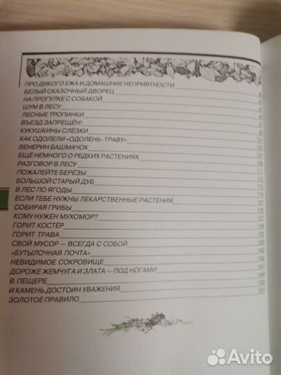 А. А. Плешаков Великан на поляне