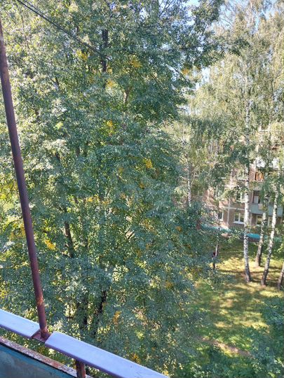 2-к. квартира, 44 м², 5/5 эт.