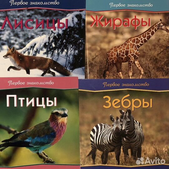 Книги для детей О животных Сказки