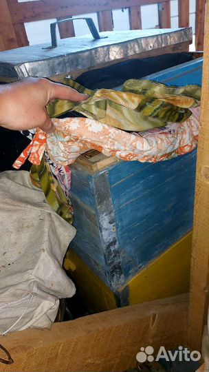 Пчёлы.Пчелиные улья