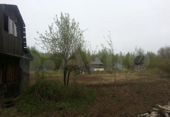 Участок 12 сот. (СНТ, ДНП)