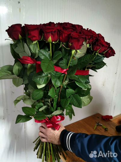 Розы, букет цветов, 101 роза, 51 роза. Розы опт