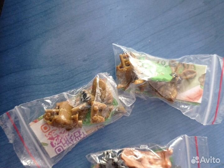 Kinder Natoons North Amerika 2021