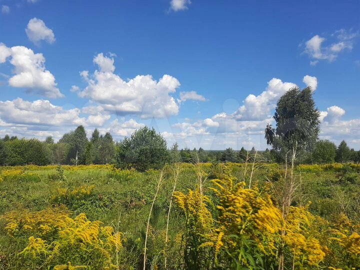 Участок 1,49 га (ИЖС)