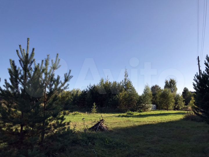 Участок 31,5 сот. (ИЖС)