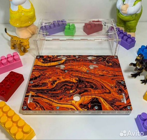 Муравьиная ферма