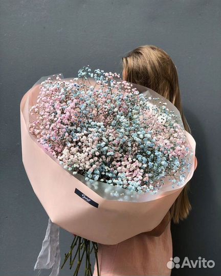 Гипсофила цветы