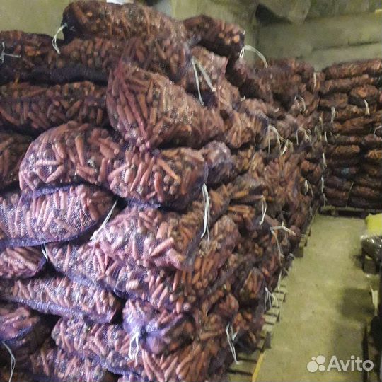 Морковь оптом