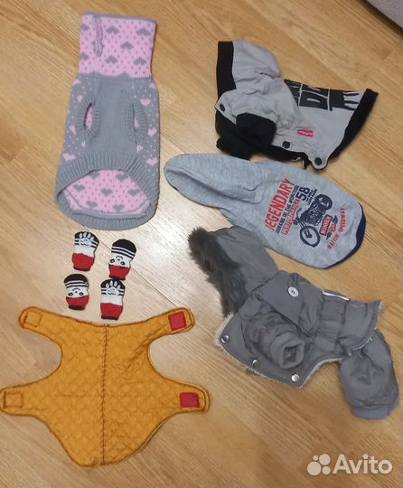 Одежда для маленькой собаки