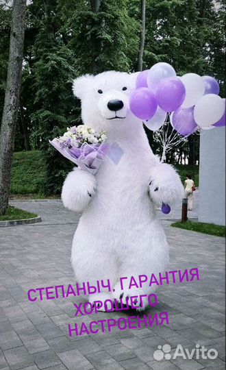 Белый мишка степаныч поздравление, аниматор