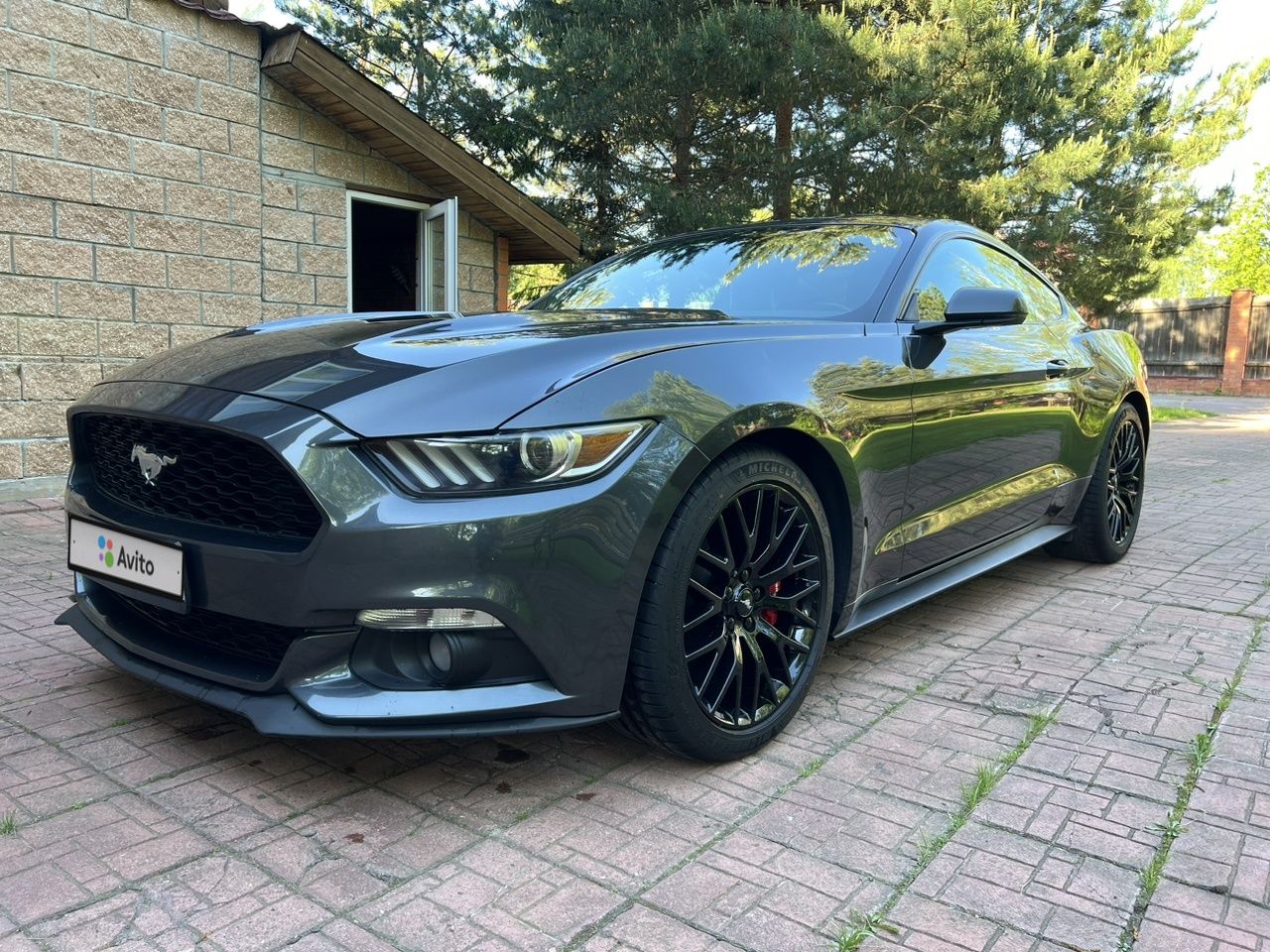 Ford Mustang: фото владельца
