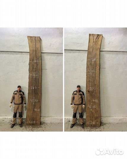 Слэб ясень от производителя