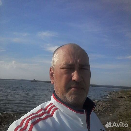 Водитель экспедитор категория в