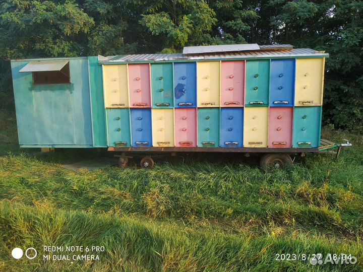 Пчелопавильон