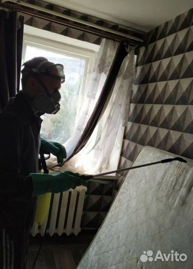 Средство для Уничтожения клопов Дезинсекции тараканов