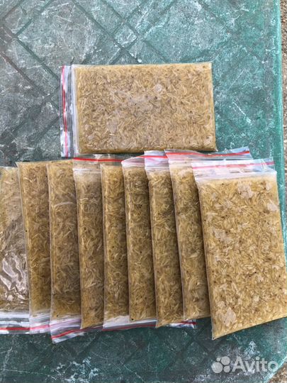 Корма для аквариумных и прудовых рыб