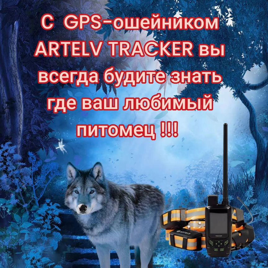 GPS-ошейник artelv tracker