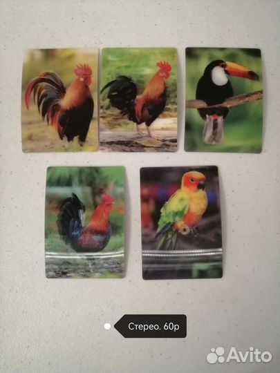 Календарь карманный. Птицы