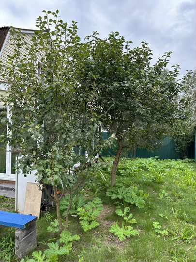 Дом 84 м² на участке 12,5 сот.