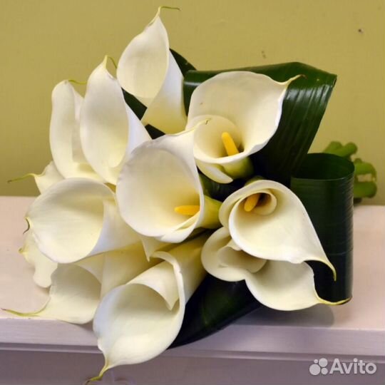 Каллы букет калл