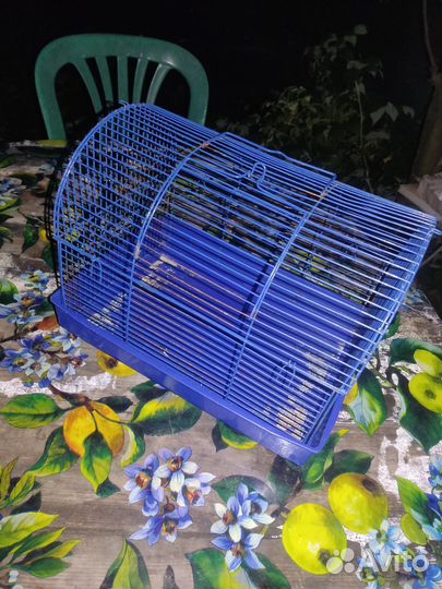 Клетка для грызунов бу