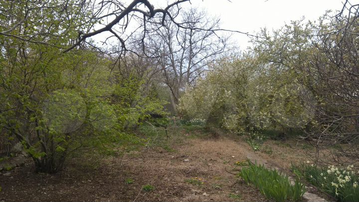 Участок 4,1 сот. (СНТ, ДНП)