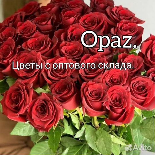 Букет из 35 роз