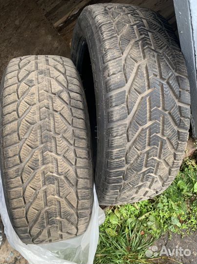 Tigar Winter 225/50 R17 94H