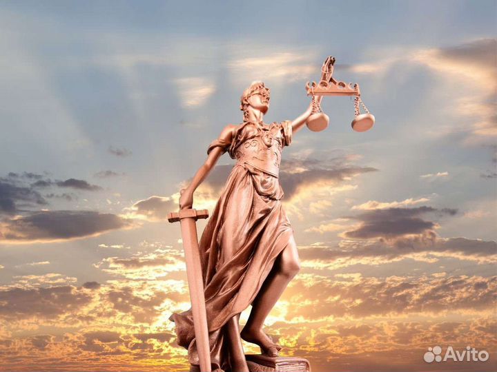 Судебный юрист, специалист по гражданскому праву