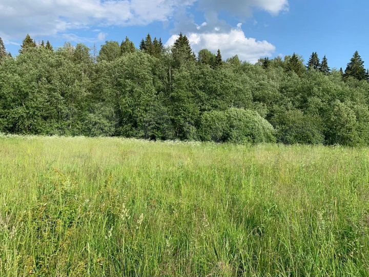 Участок 8,5 сот. (СНТ, ДНП)