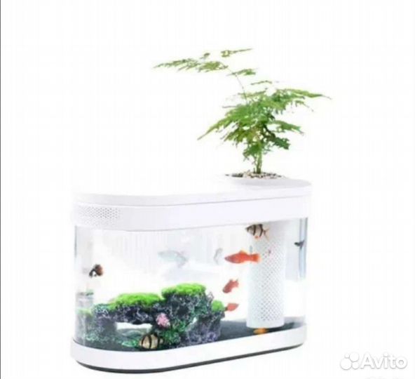 Аквариум Xiaomi. Новый