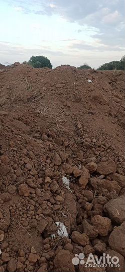 Отдам бесплатно грунт