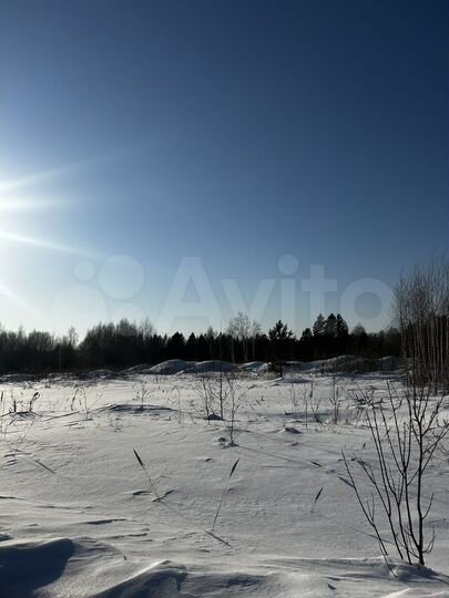 Участок 11,6 сот. (СНТ, ДНП)